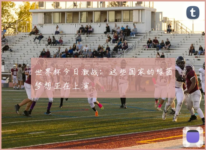 世界杯今日激战：这些国家的绿茵梦想正在上演