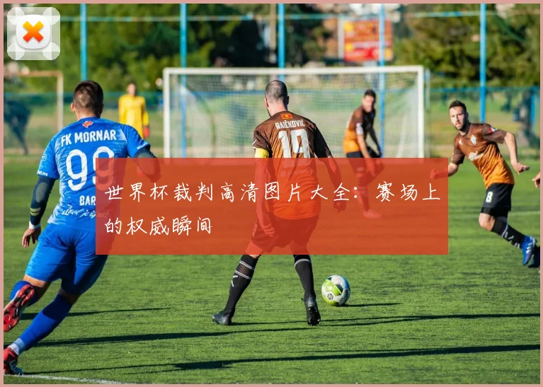 世界杯裁判高清图片大全：赛场上的权威瞬间