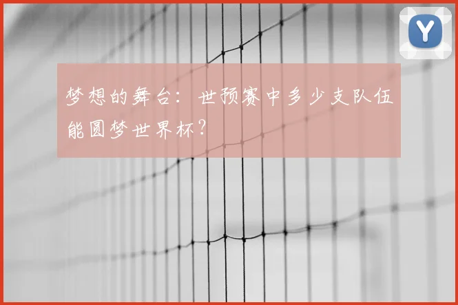 梦想的舞台:世预赛中多少支队伍能圆梦世界杯?