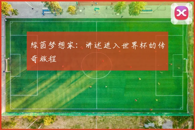 绿茵梦想家：讲述进入世界杯的传奇旅程