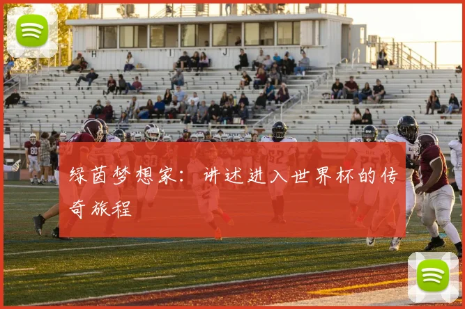 绿茵梦想家：讲述进入世界杯的传奇旅程