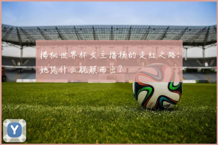 揭秘世界杯女主播杨的走红之路：她凭什么脱颖而出？