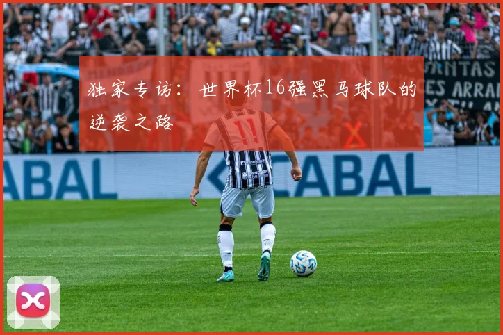 独家专访：世界杯16强黑马球队的逆袭之路