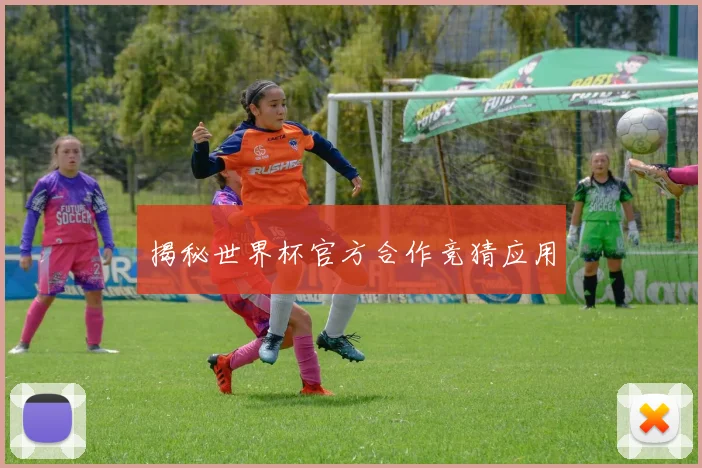 揭秘世界杯官方合作竞猜应用