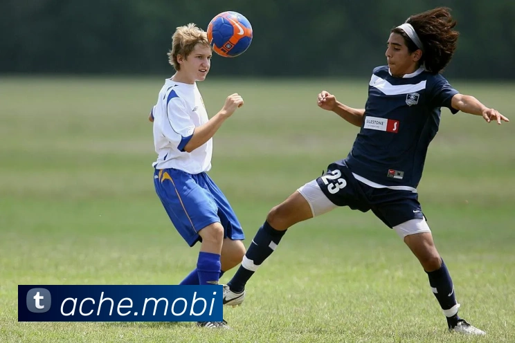 多媒体互动体验